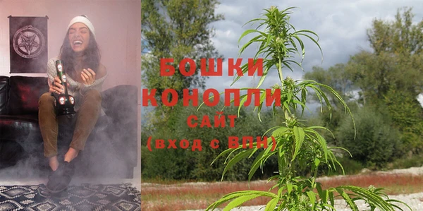 бошки Мегион