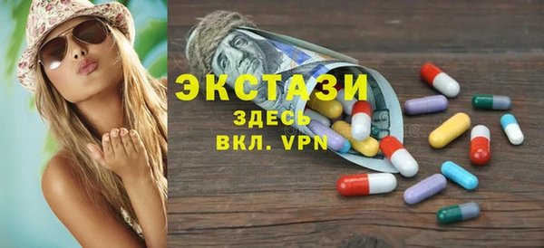 индика Магас