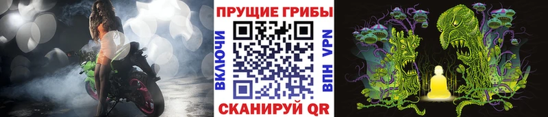 цены наркотик  Сергач  Псилоцибиновые грибы Magic Shrooms 